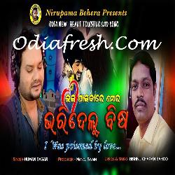 Bhala Paibare Mora Bharidelu Bisa